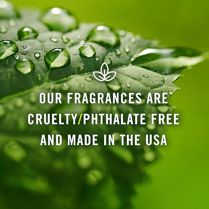 P&J Trading Fragrance Oils for Diffusers for Home English Garden Set Fragrance Scents for Candle Making - Soap Making - Car Diffuser Scents - Essential Home Gift Set - Fig, Honeysuckle Vine & More