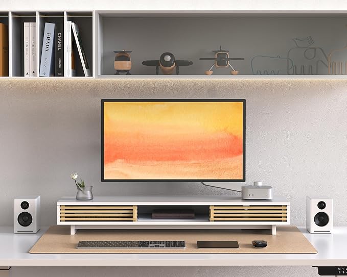 Dual Monitor Stand Riser with Sliding Door, Double Computer Laptop Stand Desk